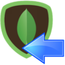 Custom SSIS Components - MongoDB Destination